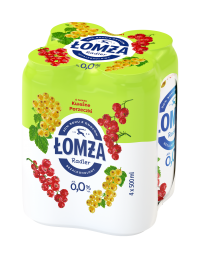 Puszka 500ml 4-pak - Van Pur